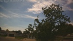 Web Cam Image - Tue, 06/09/2026 2:58pm CDT