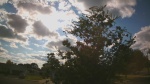 Web Cam Image - Sat, 09/06/2025 2:43pm CDT