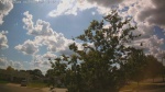 Web Cam Image - Mon, 06/30/2025 11:43am CDT