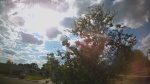 Web Cam Image - Sat, 09/06/2025 2:37pm CDT
