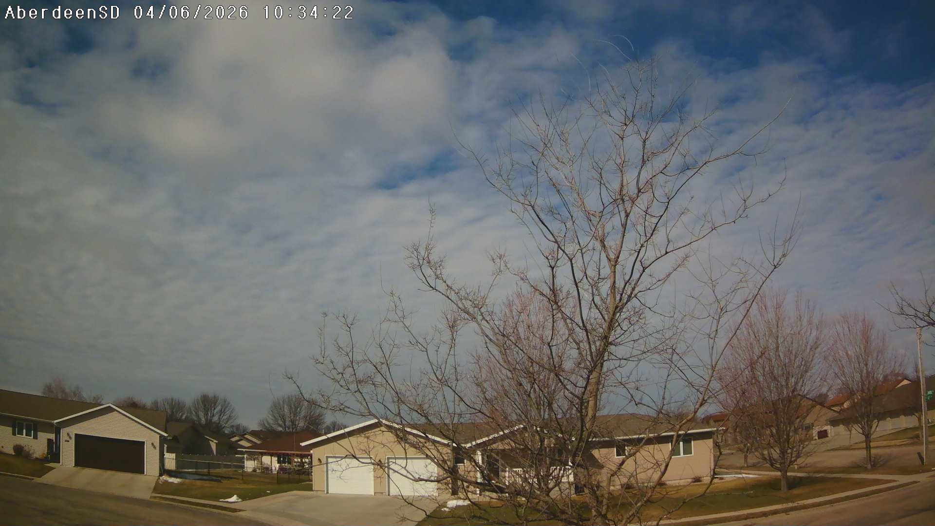 Web Cam History Image - 365