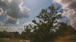 Web Cam Image - Mon, 06/30/2025 11:41am CDT