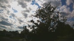 Web Cam Image - Sat, 09/06/2025 2:28pm CDT
