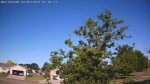 Web Cam Image - Tue, 07/01/2025 1:11am CDT