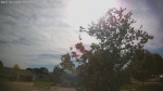 Web Cam Image - Mon, 06/01/2026 5:10pm CDT