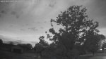 Web Cam Image - Mon, 06/08/2026 4:19am CDT