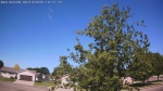 Web Cam Image - Fri, 06/19/2026 8:52am CDT