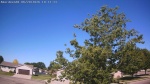 Web Cam Image - Sat, 06/20/2026 9:17am CDT