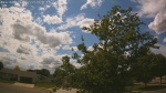 Web Cam Image - Mon, 06/22/2026 2:11pm CDT