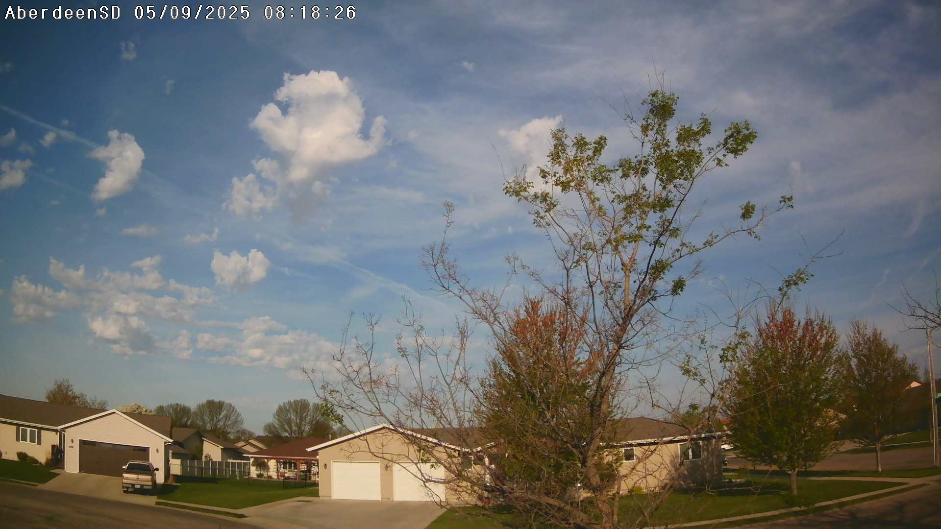 Web Cam History Image - 371