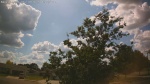 Web Cam Image - Mon, 06/30/2025 11:25am CDT