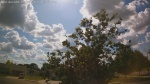 Web Cam Image - Mon, 06/30/2025 11:22am CDT