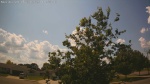 Web Cam Image - Mon, 06/30/2025 11:19am CDT