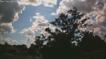 Web Cam Image - Mon, 06/30/2025 11:17am CDT