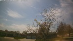 Web Cam Image - Mon, 05/11/2026 3:01pm CDT