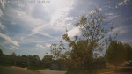Web Cam Image - Sat, 05/16/2026 3:52pm CDT