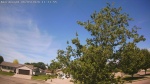 Web Cam Image - Wed, 06/03/2026 10:46am CDT