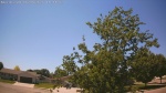 Web Cam Image - Sat, 06/06/2026 1:16pm CDT