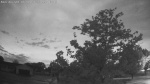 Web Cam Image - Mon, 06/08/2026 4:16am CDT