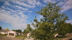 Web Cam Image - Thu, 06/18/2026 8:04am CDT