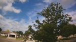 Web Cam Image - Thu, 06/25/2026 9:19am CDT