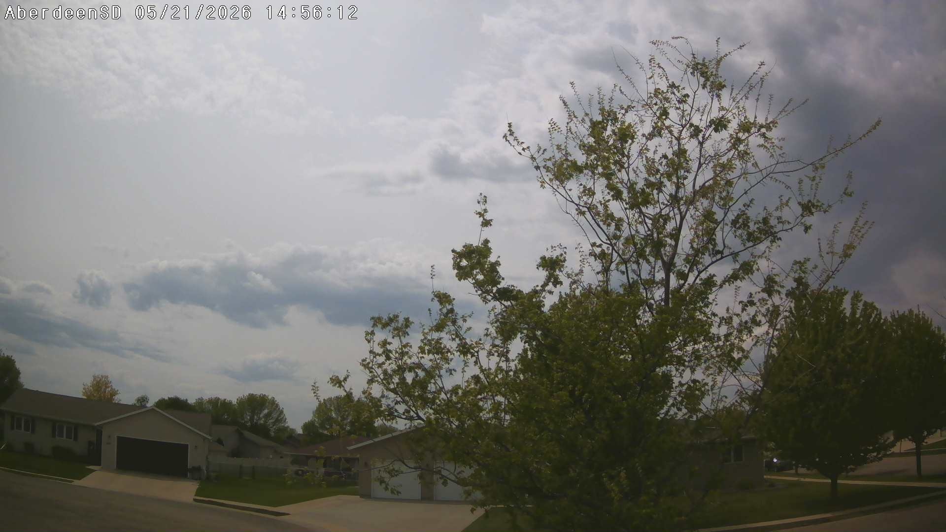 Web Cam History Image - 381