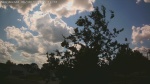 Web Cam Image - Mon, 06/30/2025 11:05am CDT
