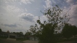 Web Cam Image - Thu, 05/21/2026 1:49pm CDT