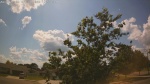 Web Cam Image - Mon, 06/30/2025 10:55am CDT