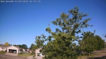 Web Cam Image - Tue, 07/01/2025 1:07am CDT