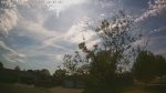 Web Cam Image - Sat, 05/16/2026 3:49pm CDT