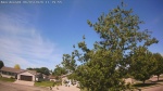 Web Cam Image - Wed, 06/03/2026 10:43am CDT