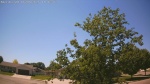 Web Cam Image - Sat, 06/06/2026 1:14pm CDT