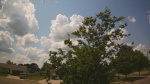 Web Cam Image - Mon, 06/30/2025 10:52am CDT