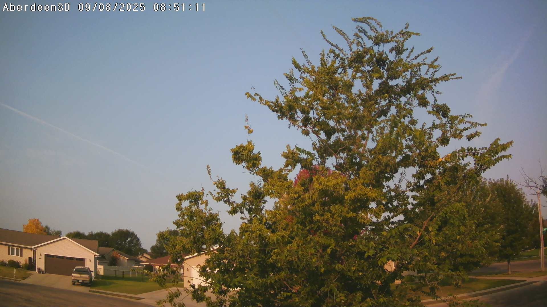 Web Cam History Image - 391