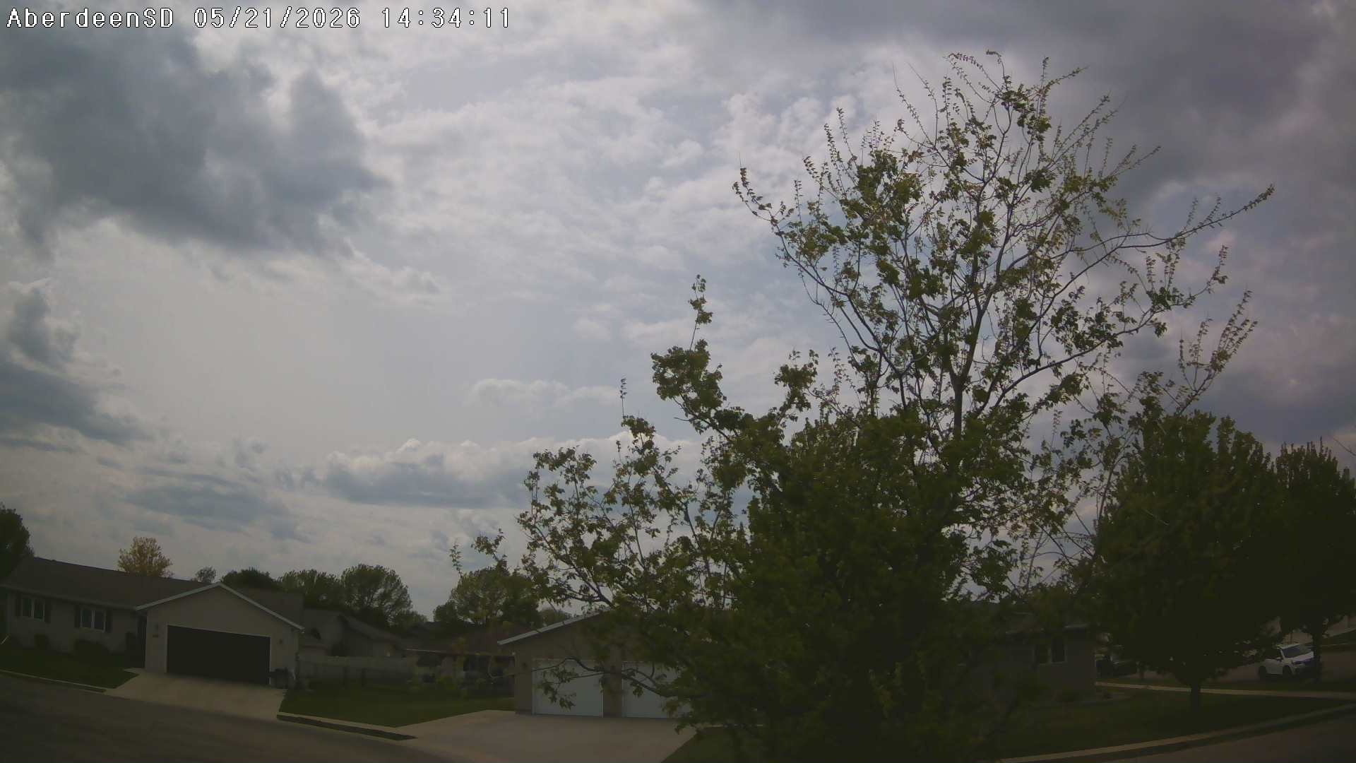 Web Cam History Image - 391