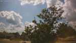 Web Cam Image - Mon, 06/30/2025 10:47am CDT