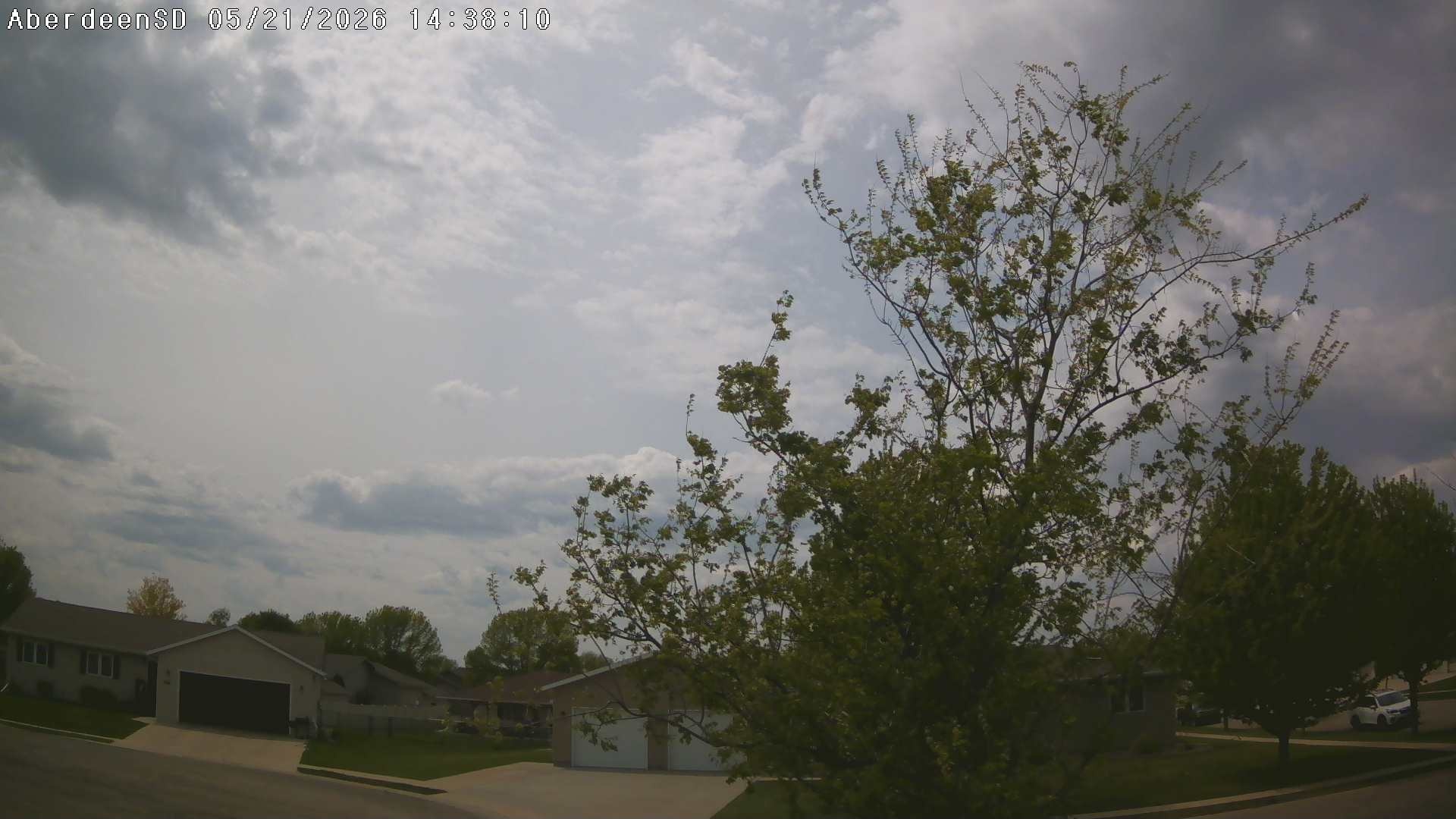 Web Cam History Image - 393