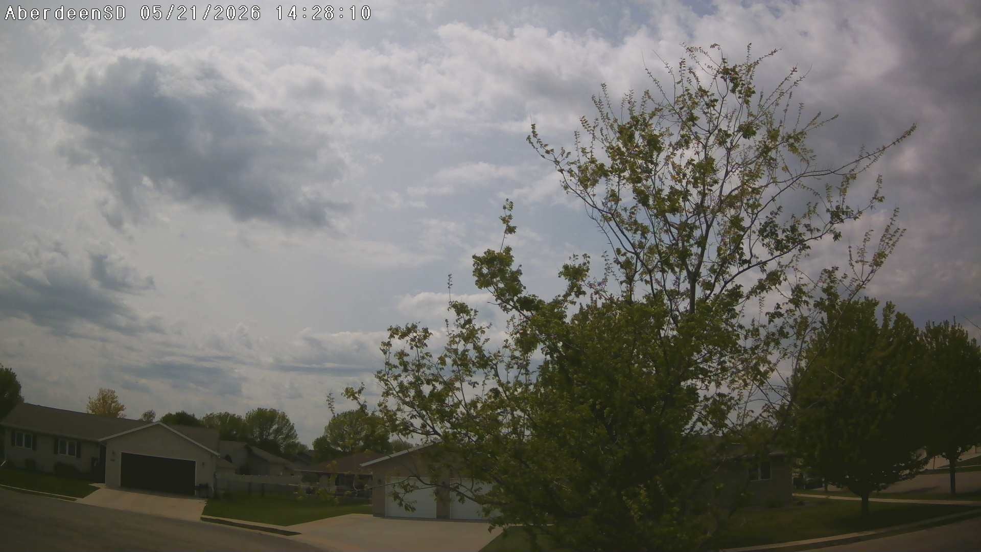 Web Cam History Image - 394