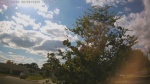Web Cam Image - Sat, 09/06/2025 1:37pm CDT