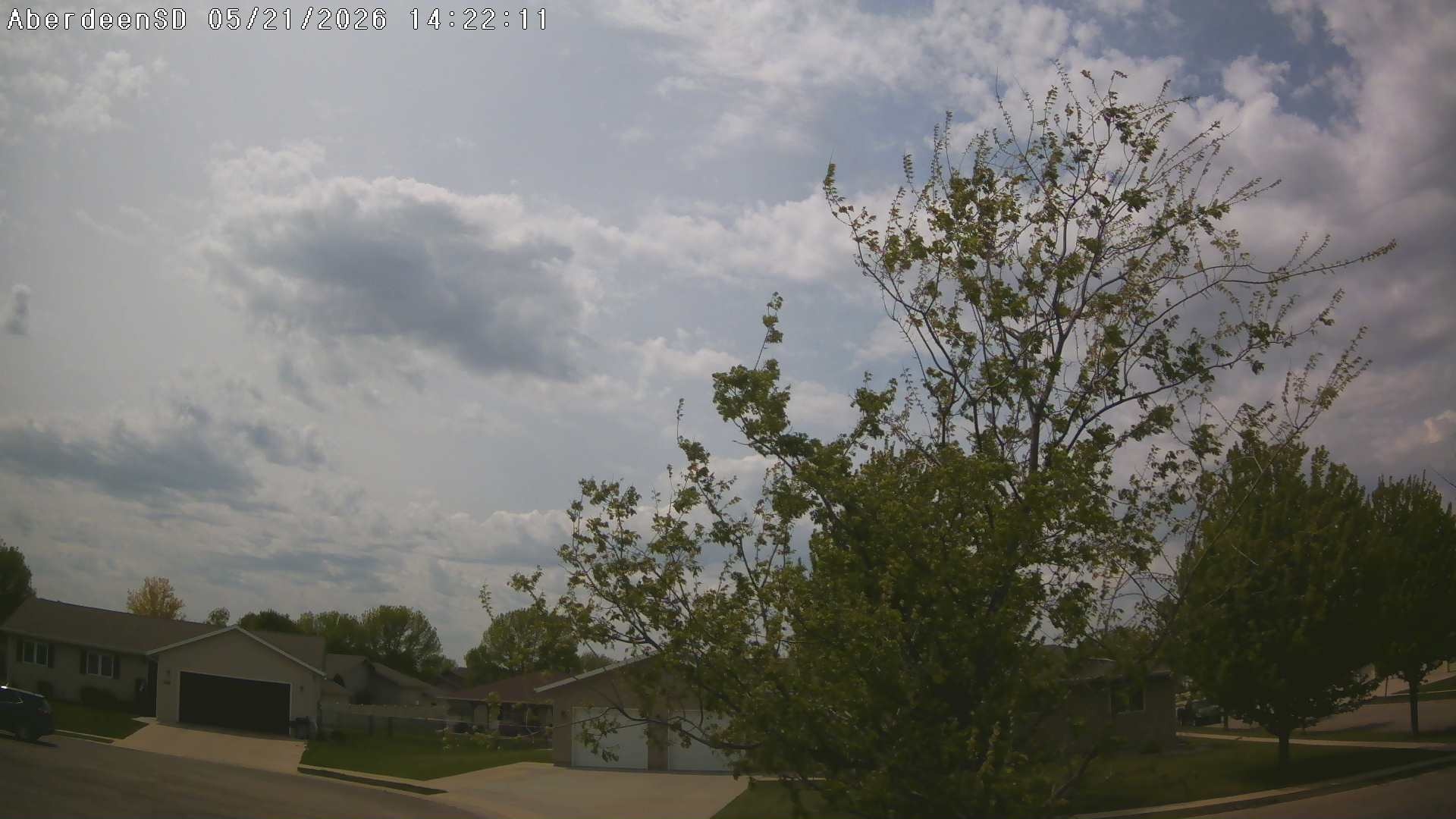 Web Cam History Image - 397