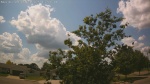 Web Cam Image - Mon, 06/30/2025 10:37am CDT