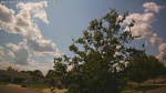 Web Cam Image - Mon, 06/30/2025 10:35am CDT