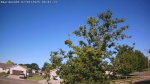 Web Cam Image - Tue, 07/01/2025 2:17am CDT