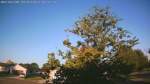 Web Cam Image - Sun, 09/07/2025 5:07am CDT