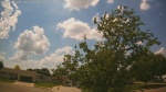 Web Cam Image - Tue, 06/02/2026 2:16pm CDT