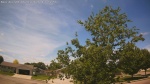 Web Cam Image - Wed, 06/03/2026 11:53am CDT