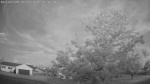 Web Cam Image - Sun, 06/07/2026 4:08am CDT