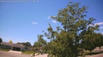 Web Cam Image - Sun, 06/14/2026 12:55pm CDT