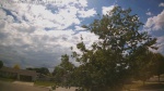Web Cam Image - Mon, 06/22/2026 3:17pm CDT